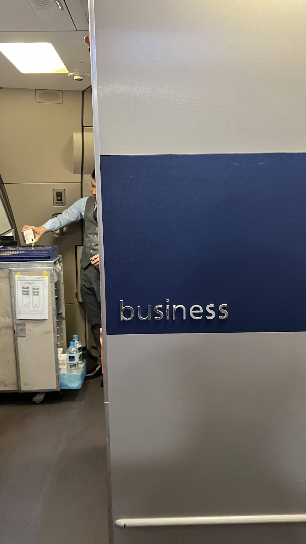 Malaysia Airlines A330-300 business section