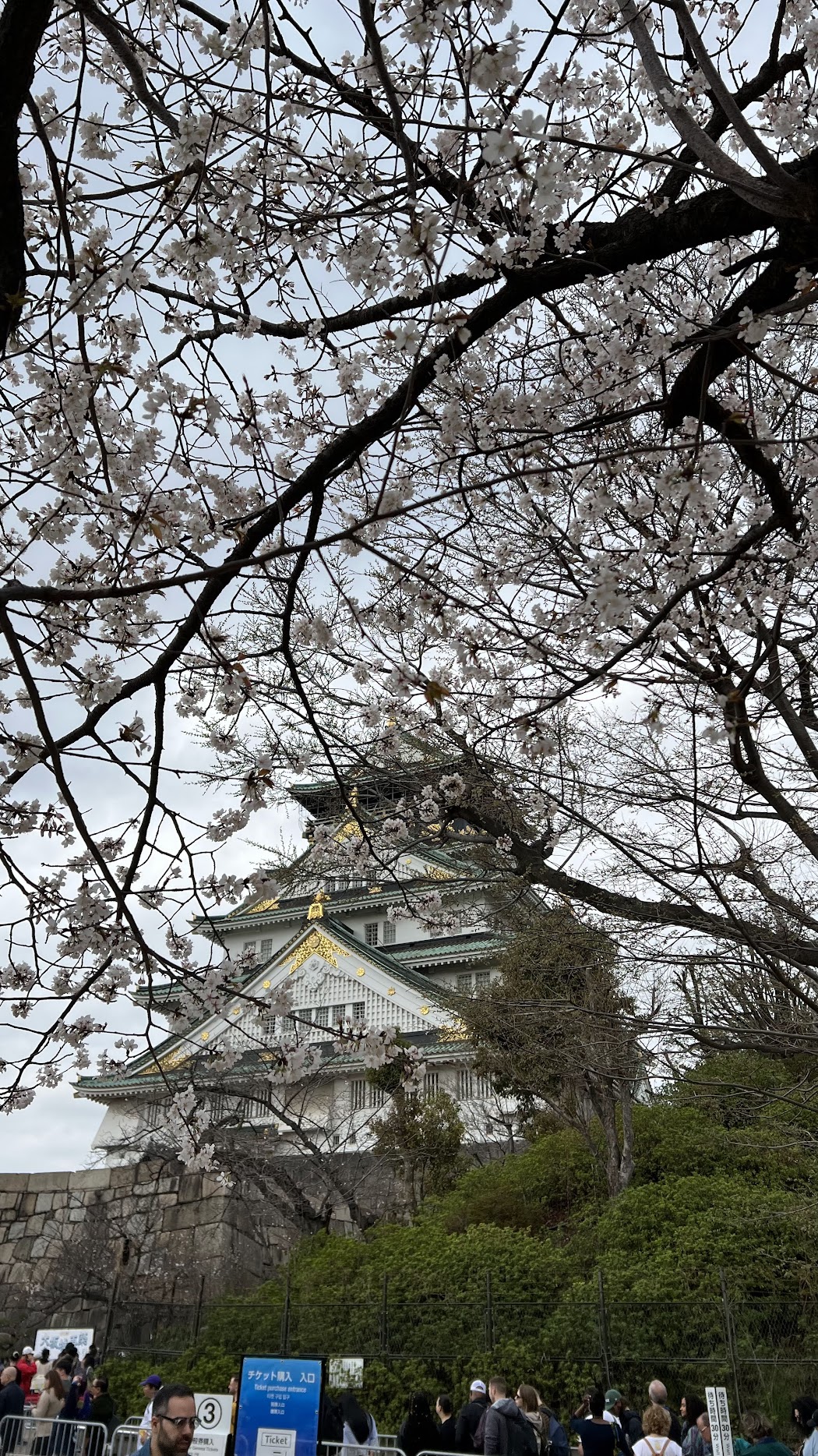 tapestry of pink 22