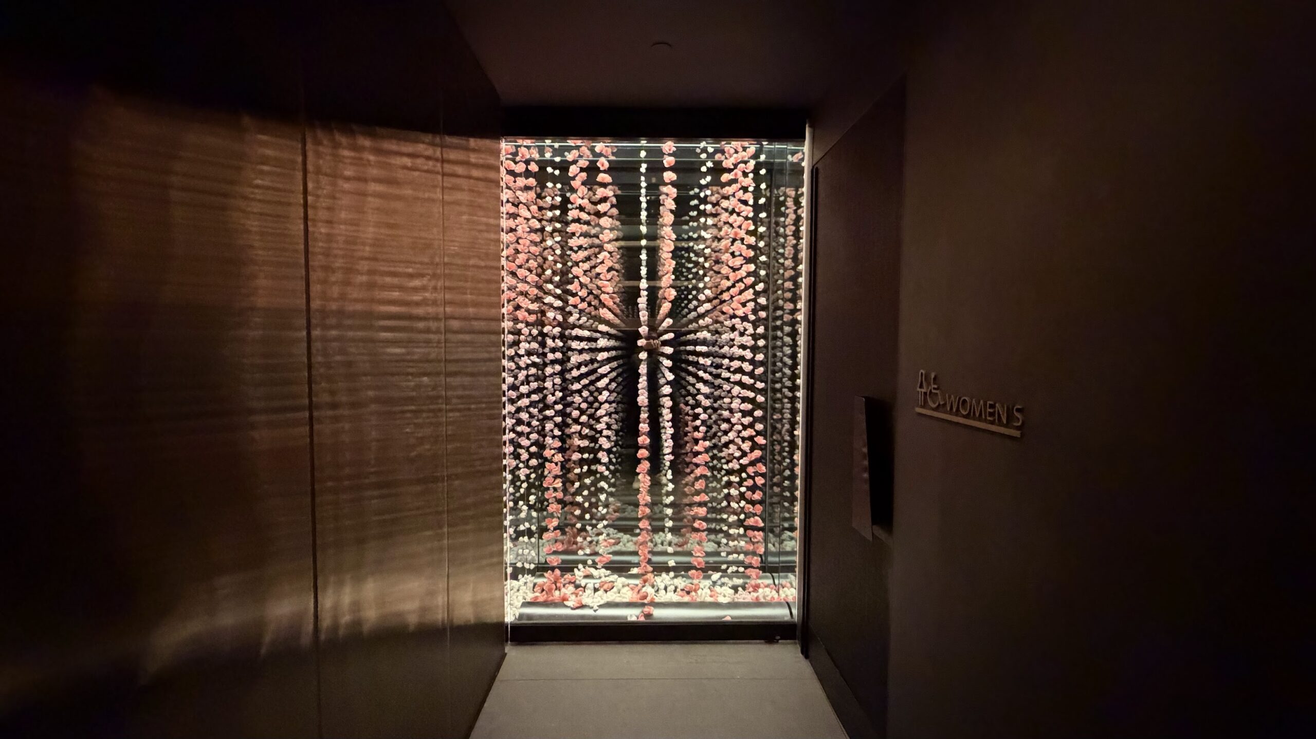 Admirals Club DCA washroom