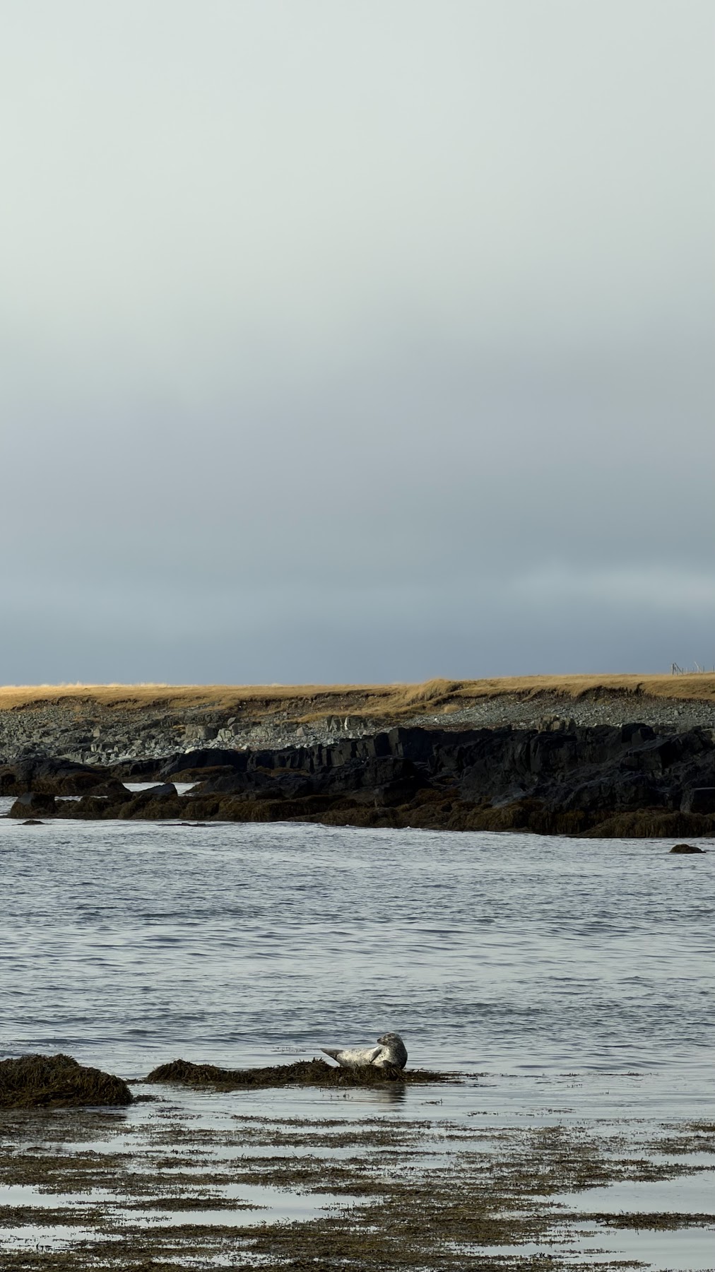 chasing the northern lights 16