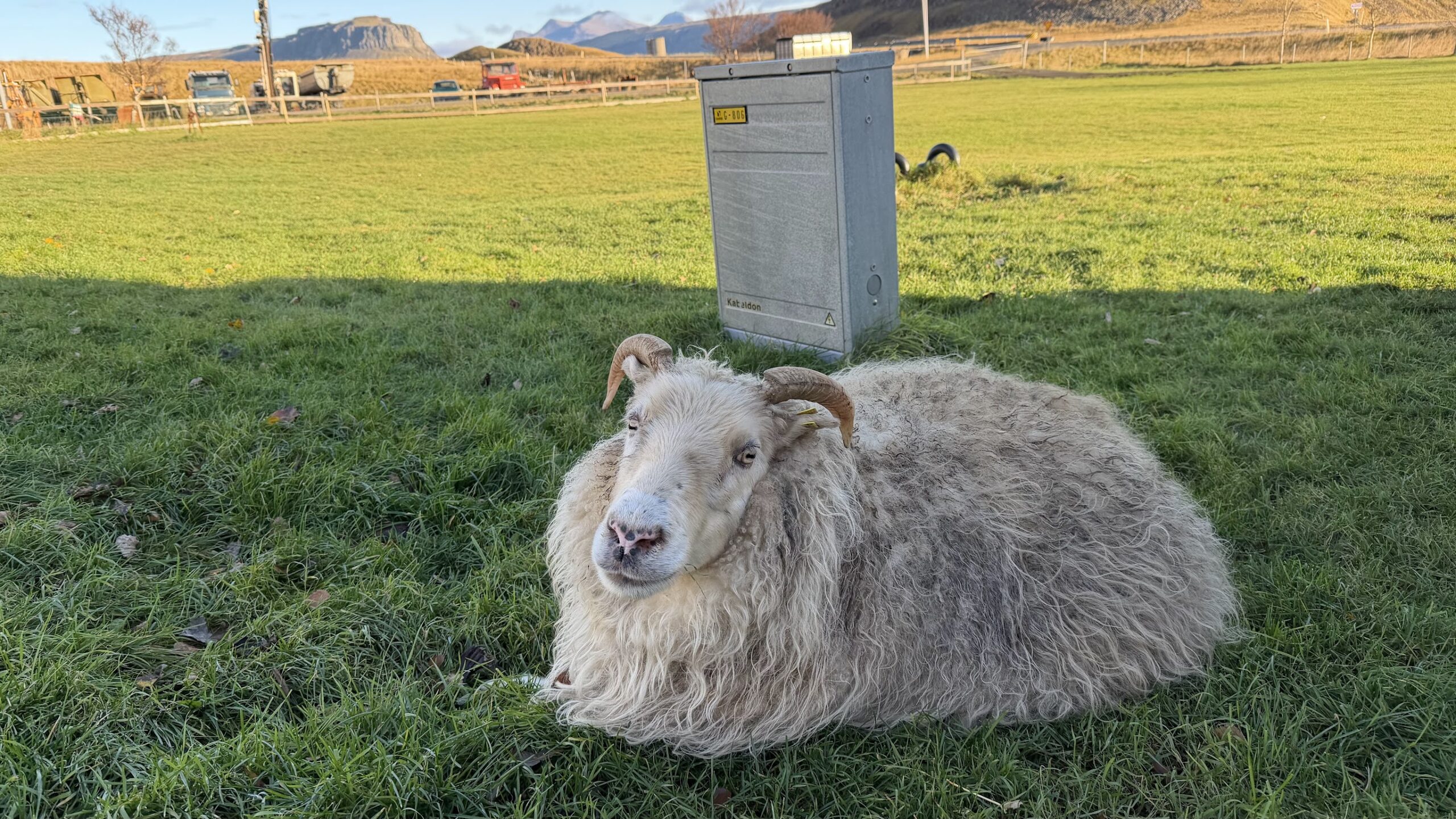 chasing the northern lights 25