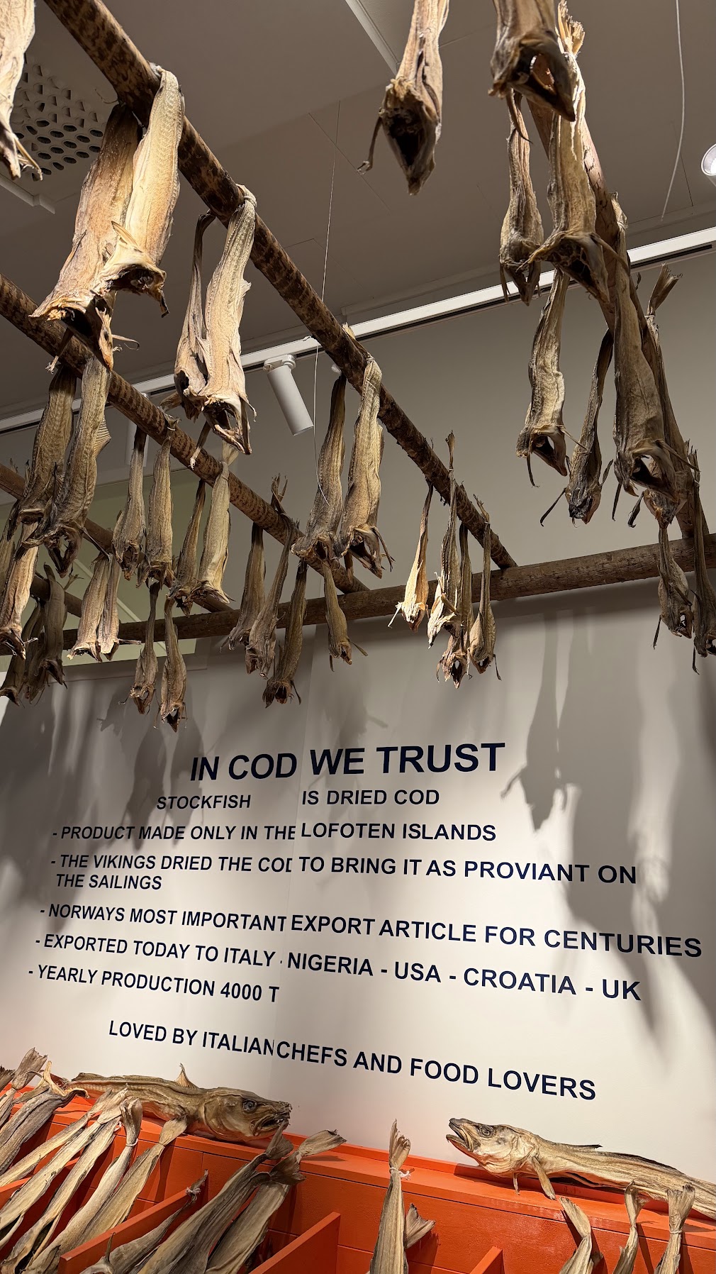 Museum at the Lofoten Seafood Center