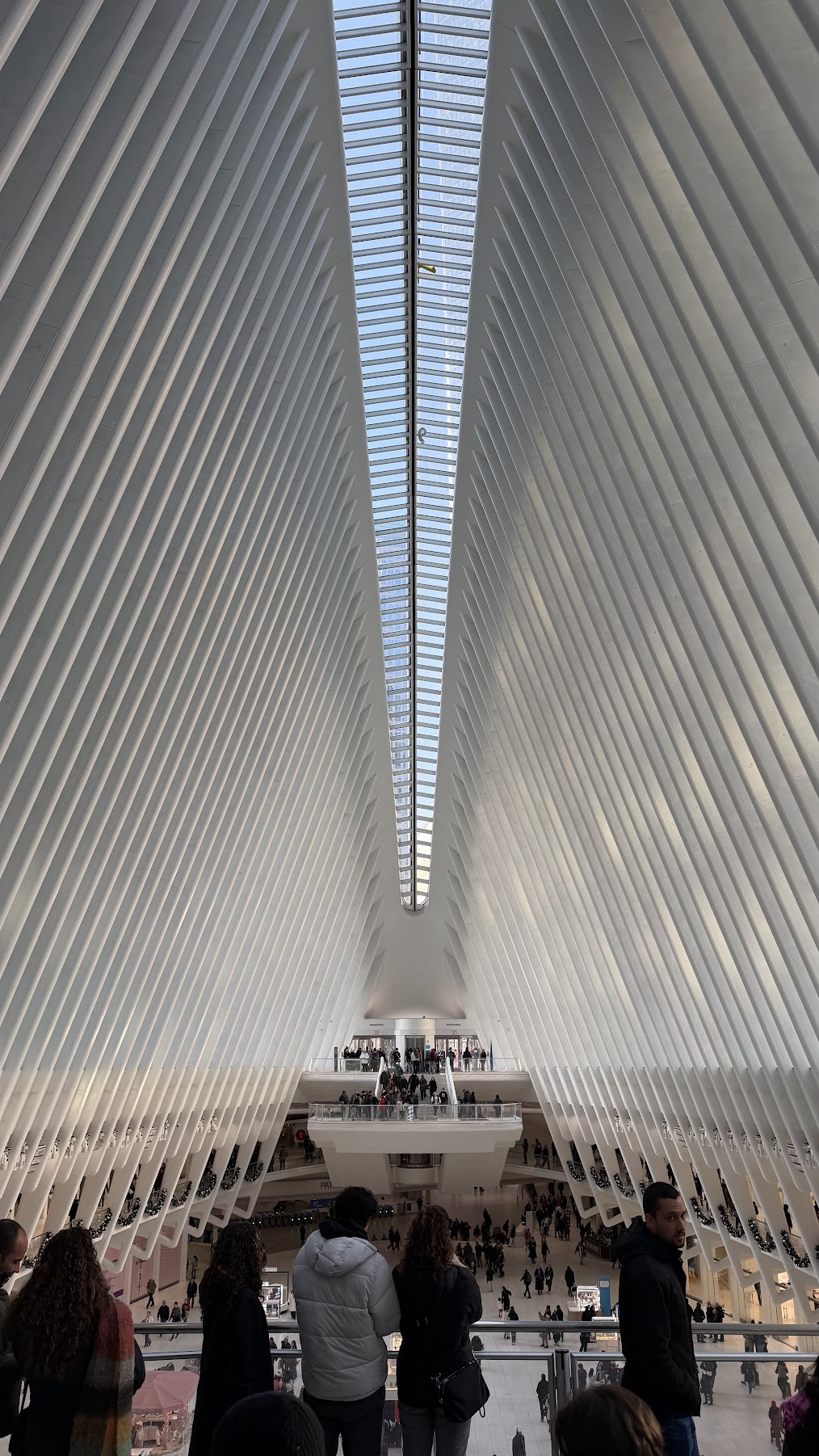 The Oculus