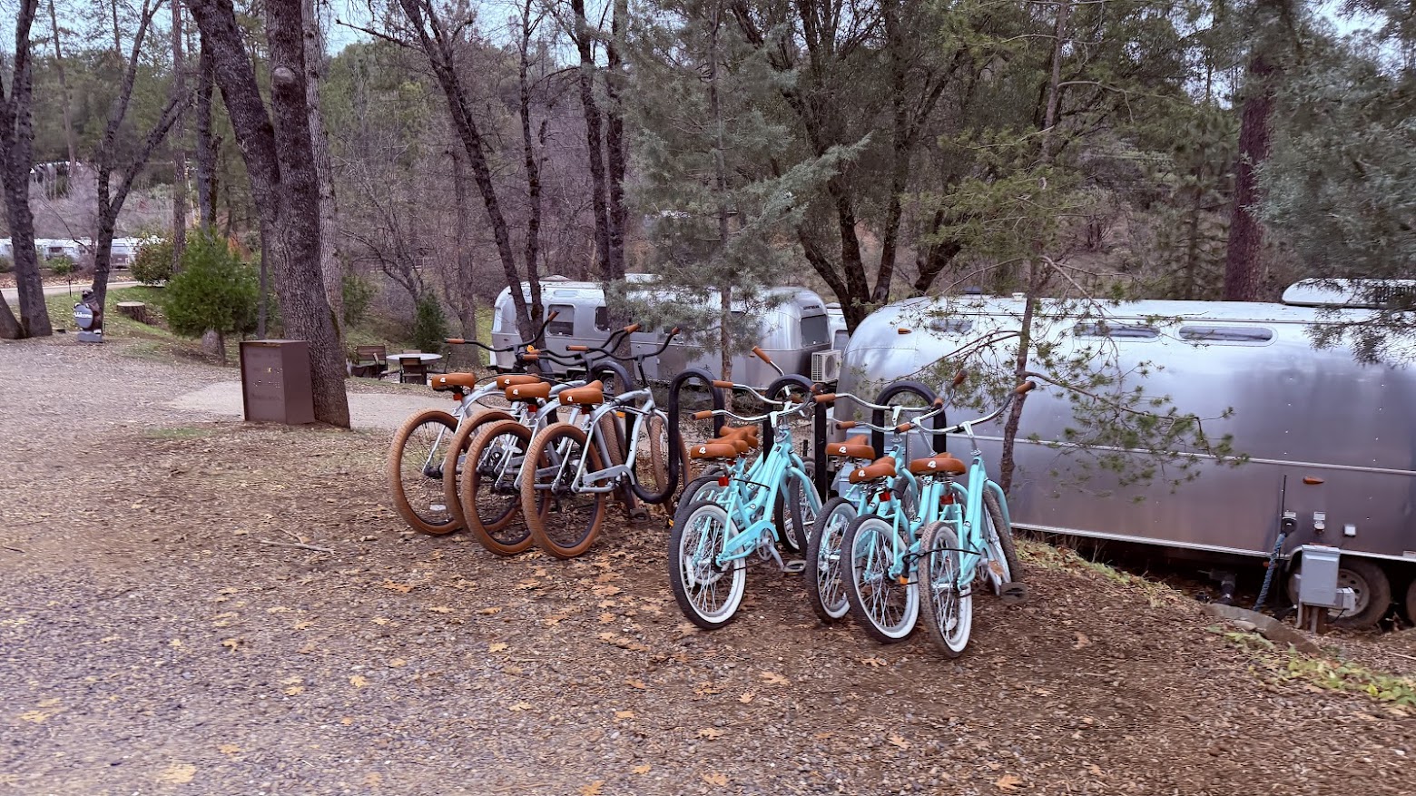 Bikes available for rental