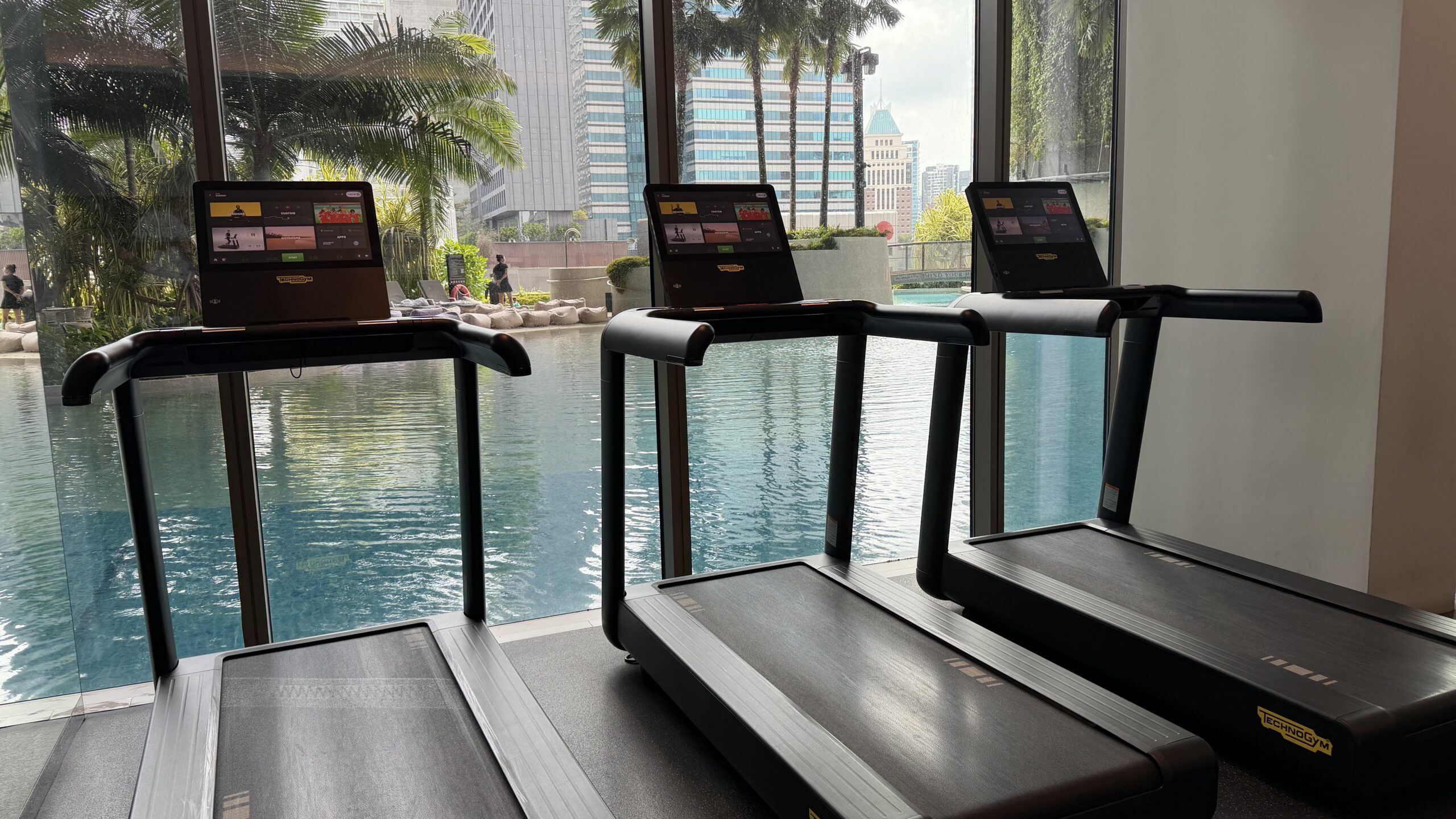 Pan Pacific Orchard gym