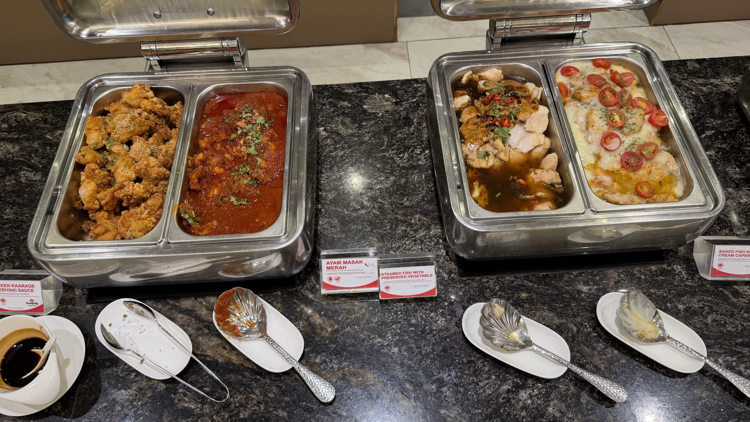 SATS Premier Lounge T3 hot buffet selection