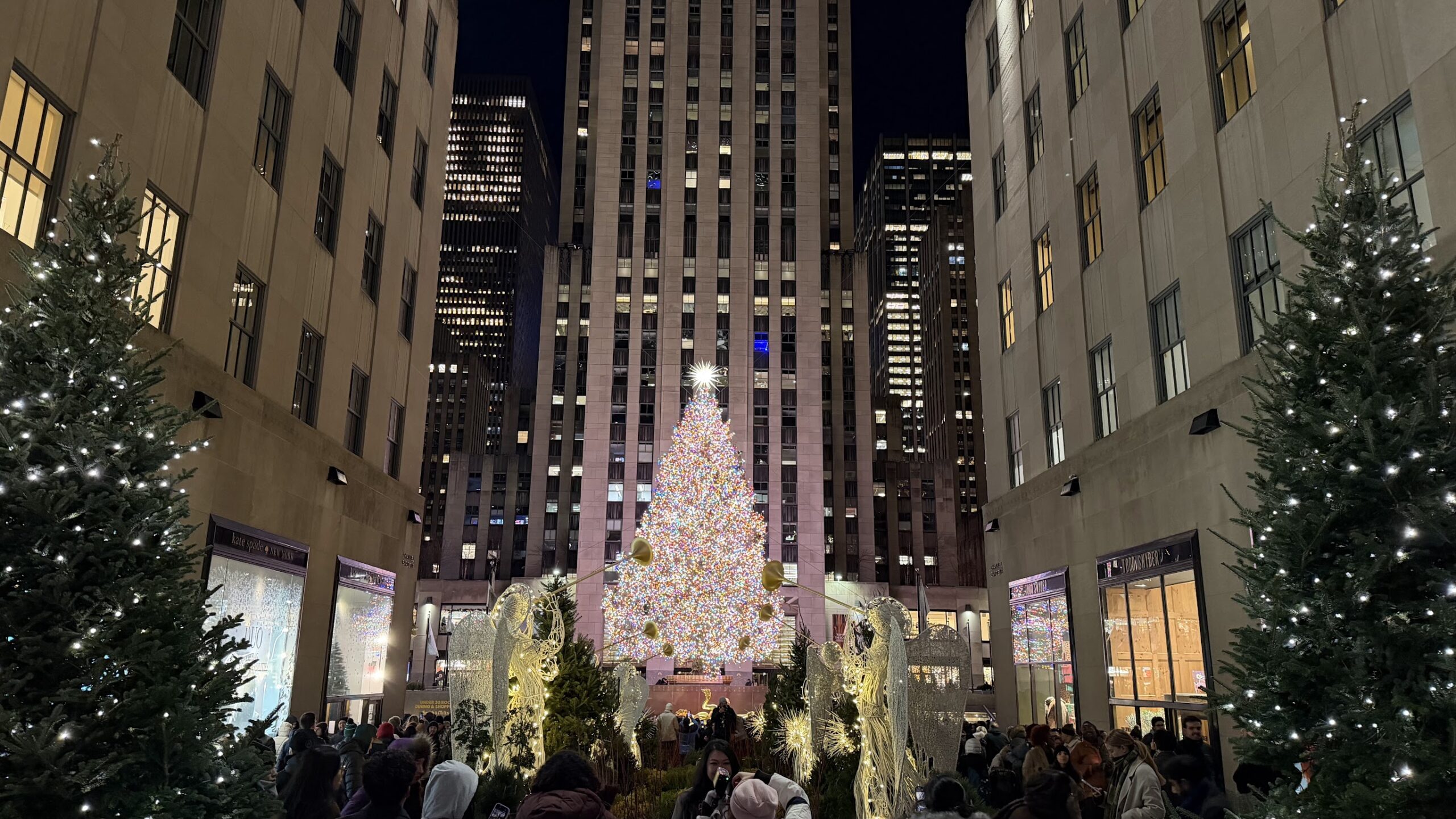 Christmas tree at the Rockefeller Plaza, a 75-foot Norway spruce from upstate New York