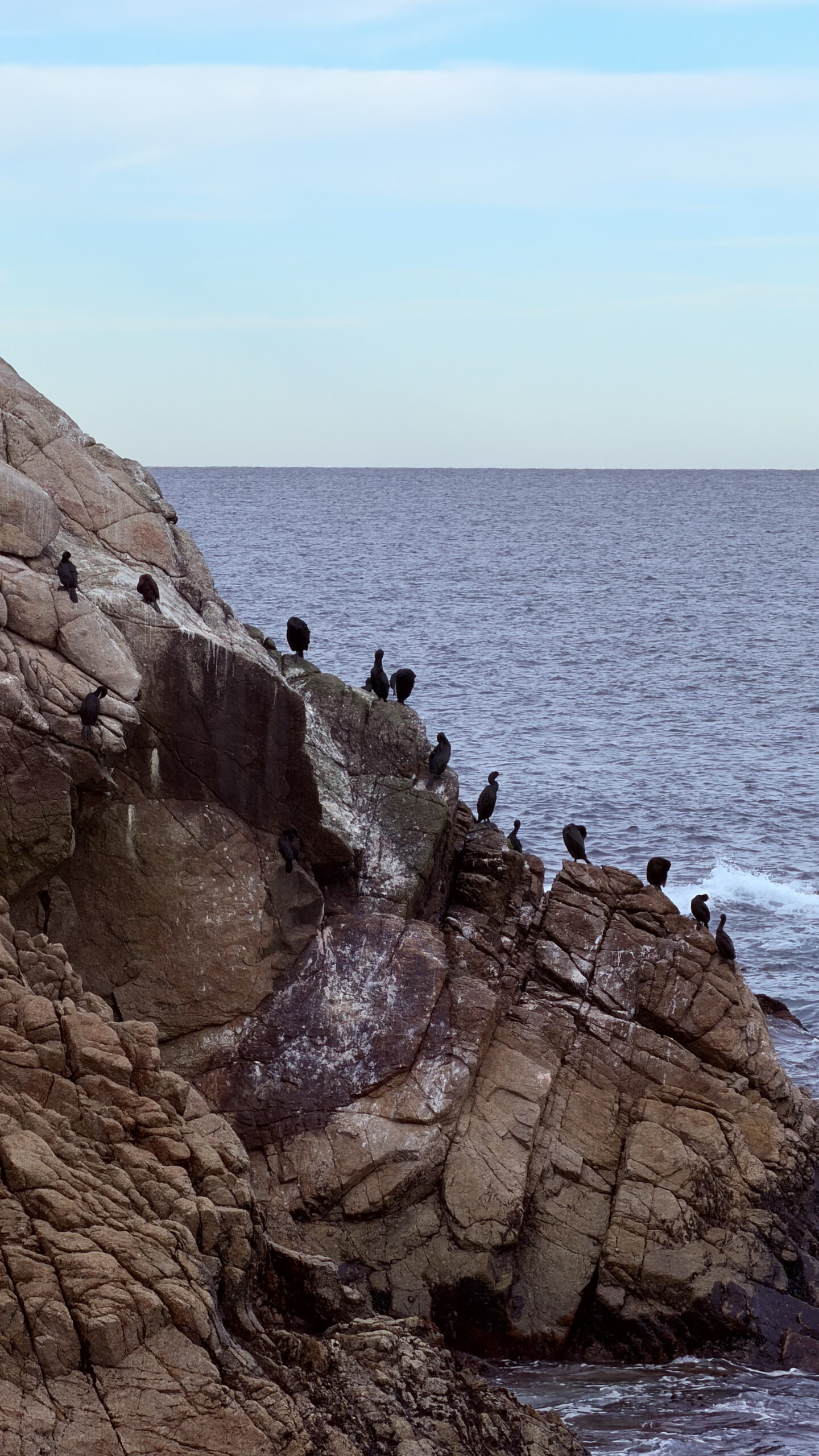 Bird Rock along the 17 Mile Drive