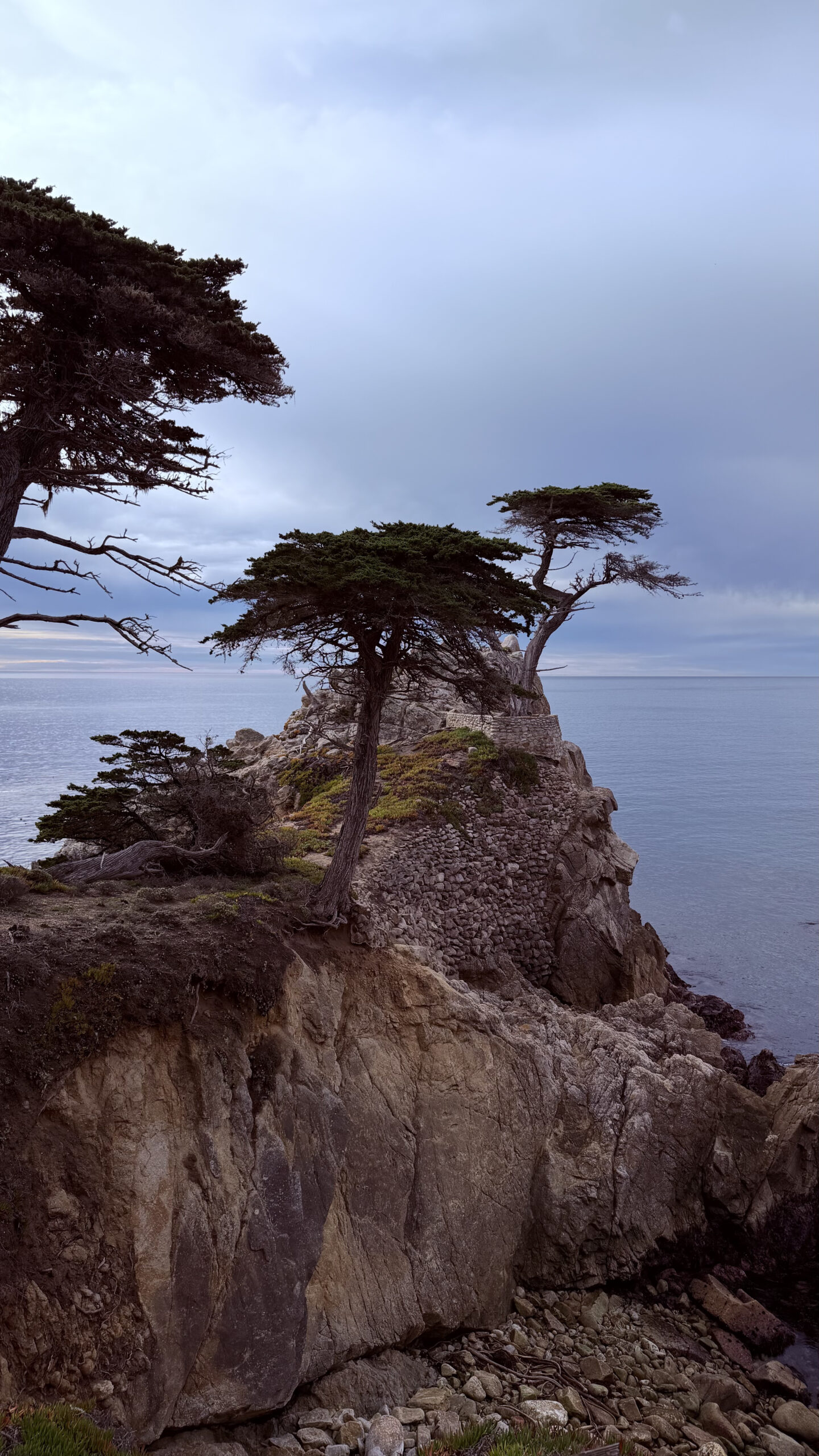 The Lone Cypress along the 17 Mile Drive