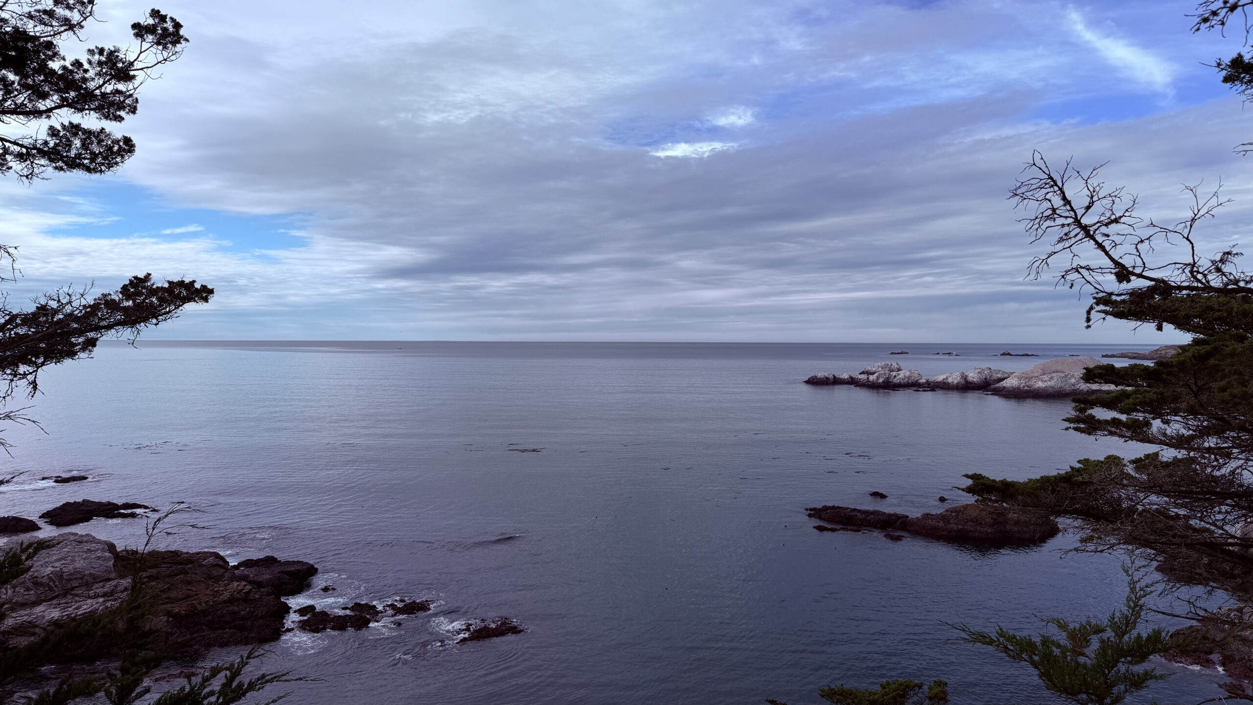 Along the magnificent 17-Mile Drive