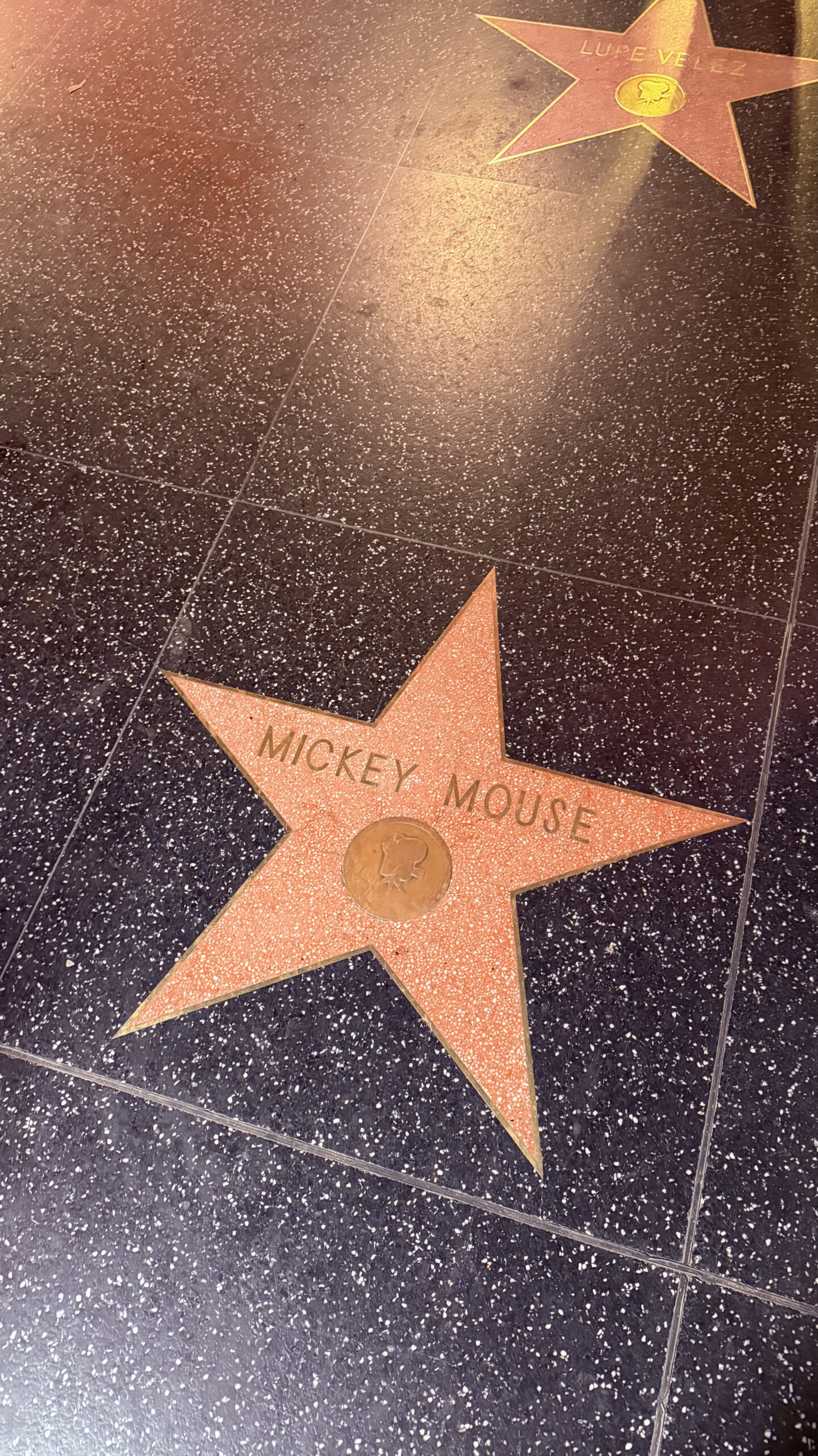 Hollywood Walk of Fame featuring the Mickey Mouse star
