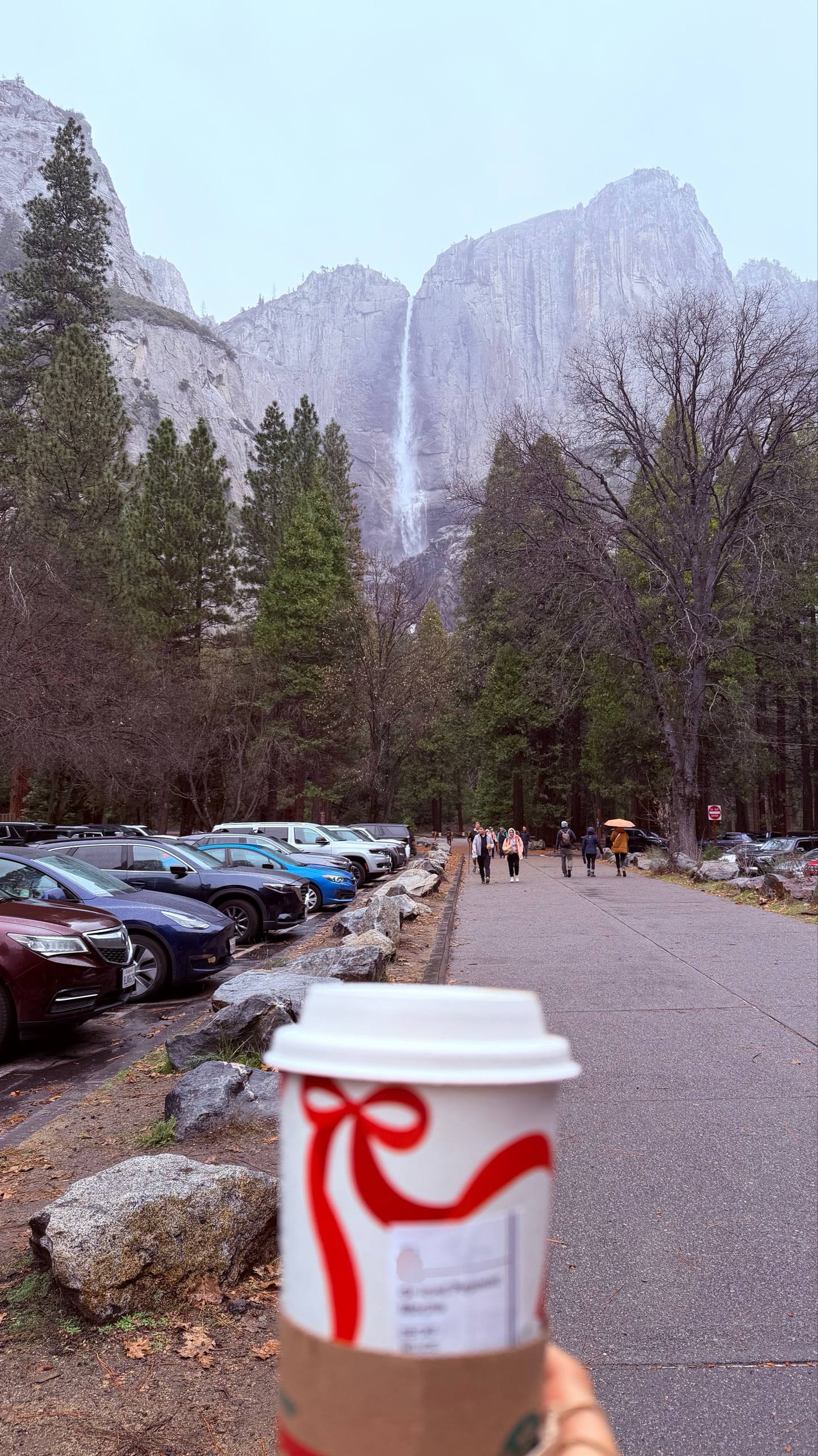 View of the Yosemite Falls with our Starbucks on our first day
