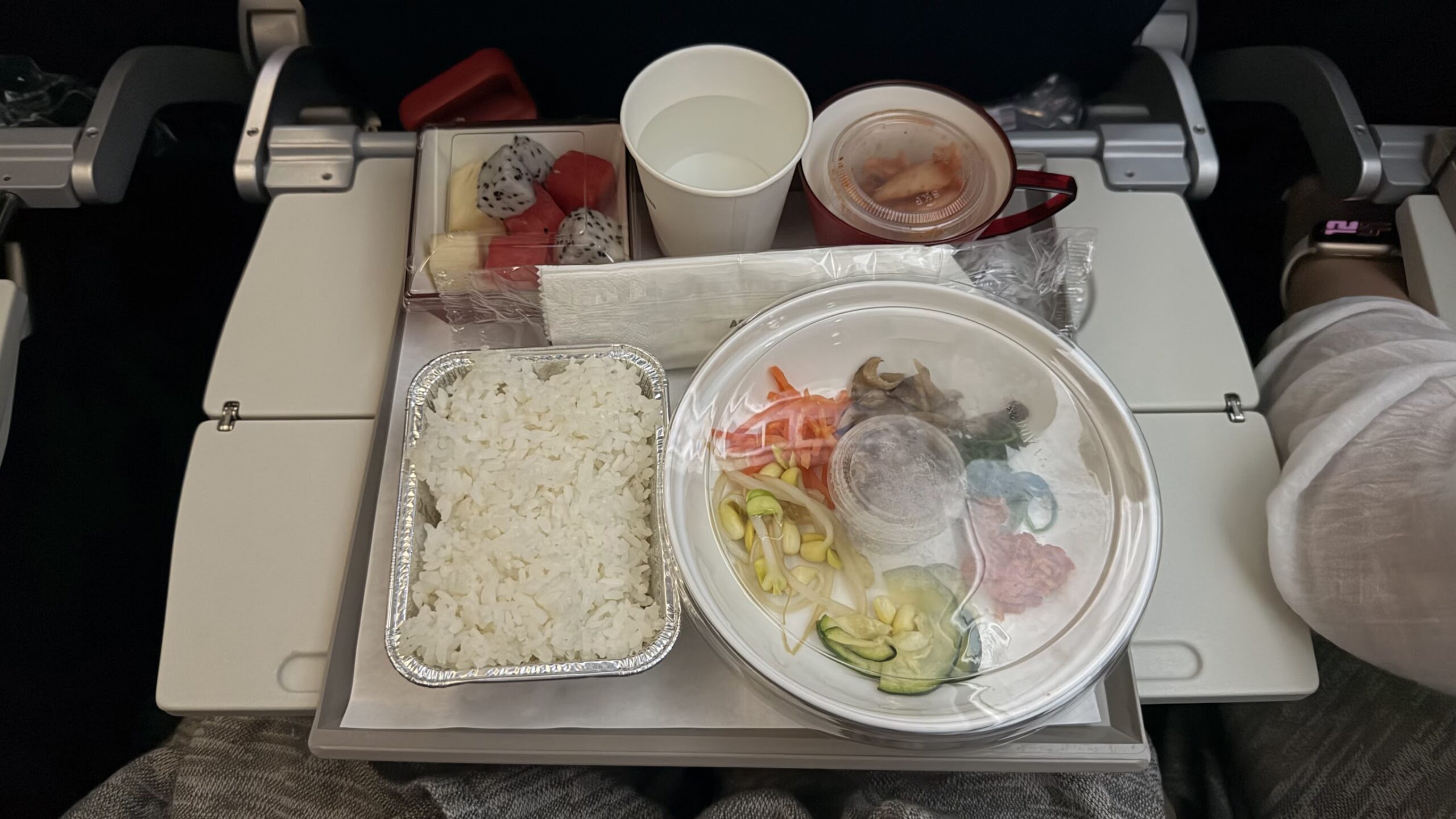 Asiana Airlines OZ752 economy class bibimbap