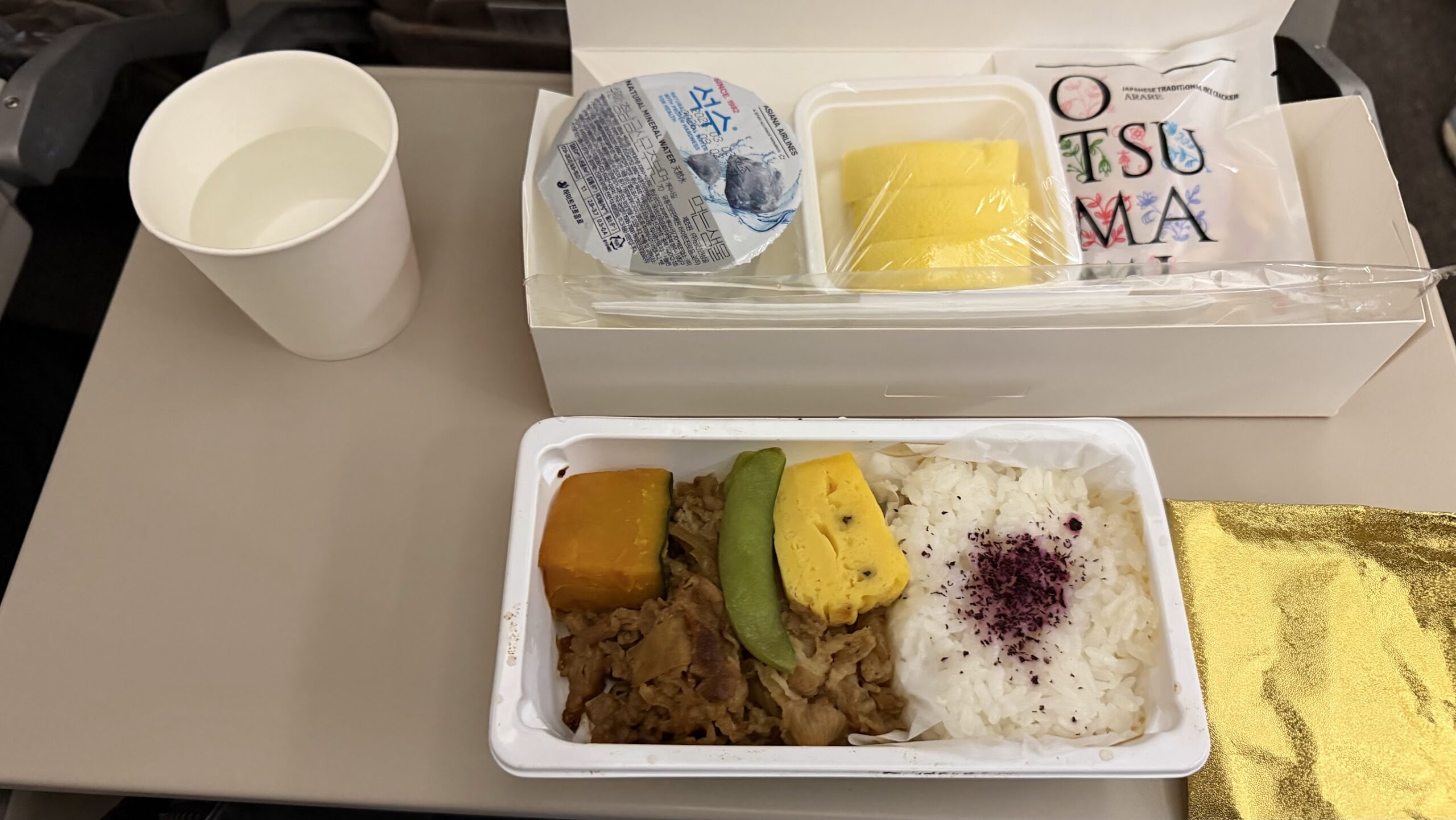 Asiana Airlines OZ123 economy dinner