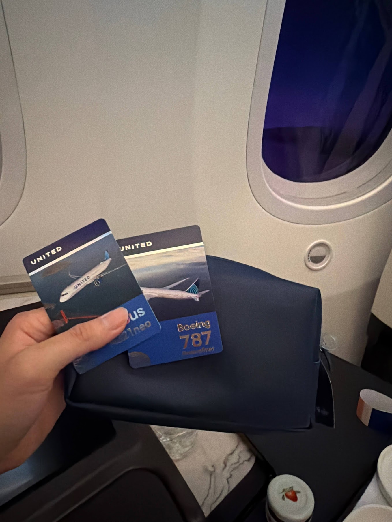 United Airlines pilot trading cards
