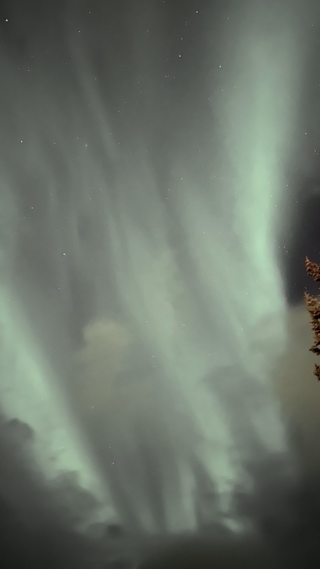 Northern Lights overhead at Englendingavik near Borgarnes