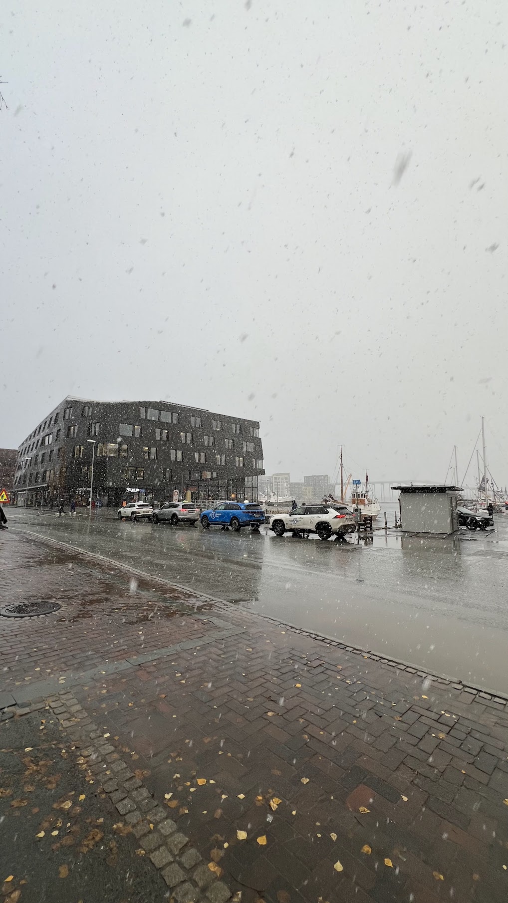 Tromso was snowing on the day we arrived, on 28 October 2024