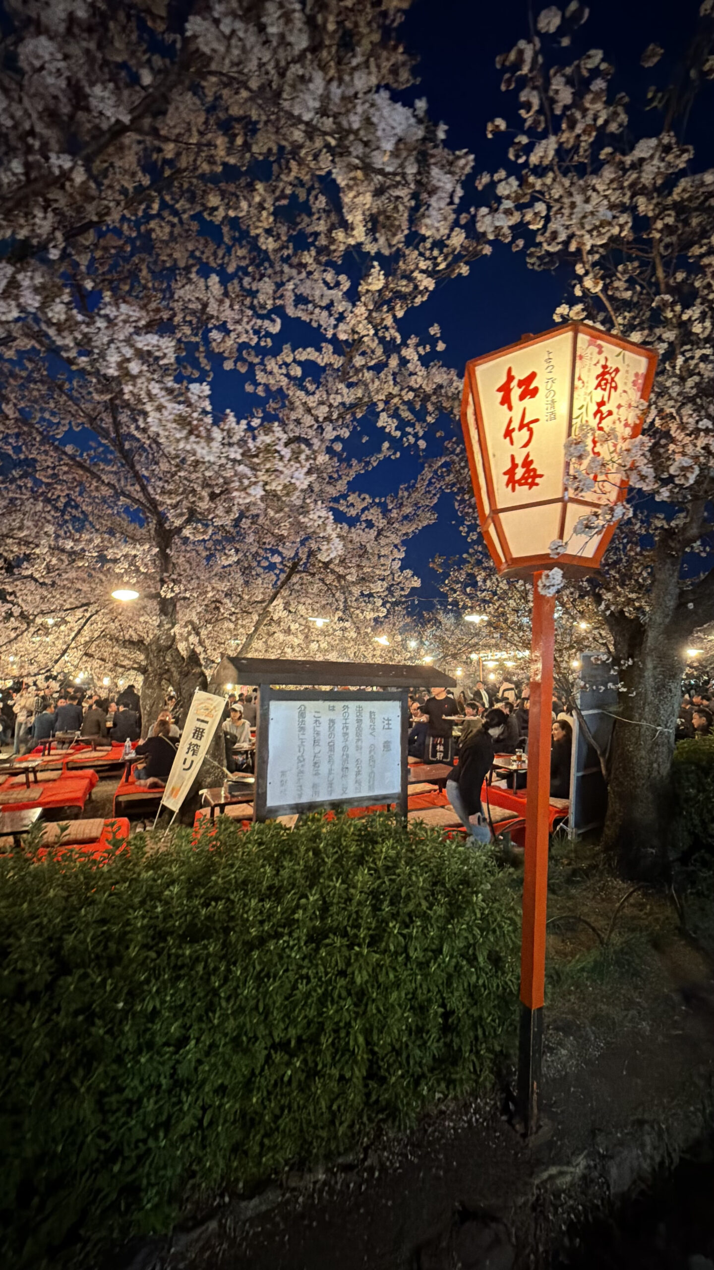Maruyama Park at night