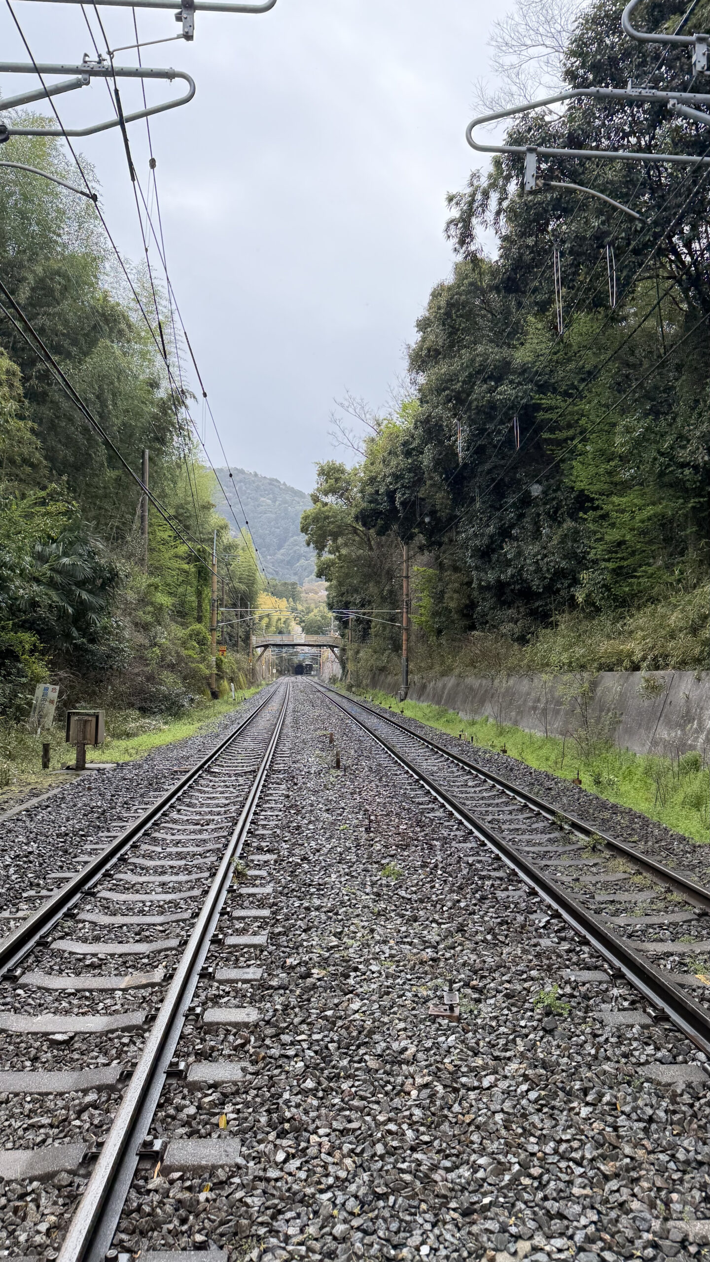Arashiyama bamboo forest railway tracks