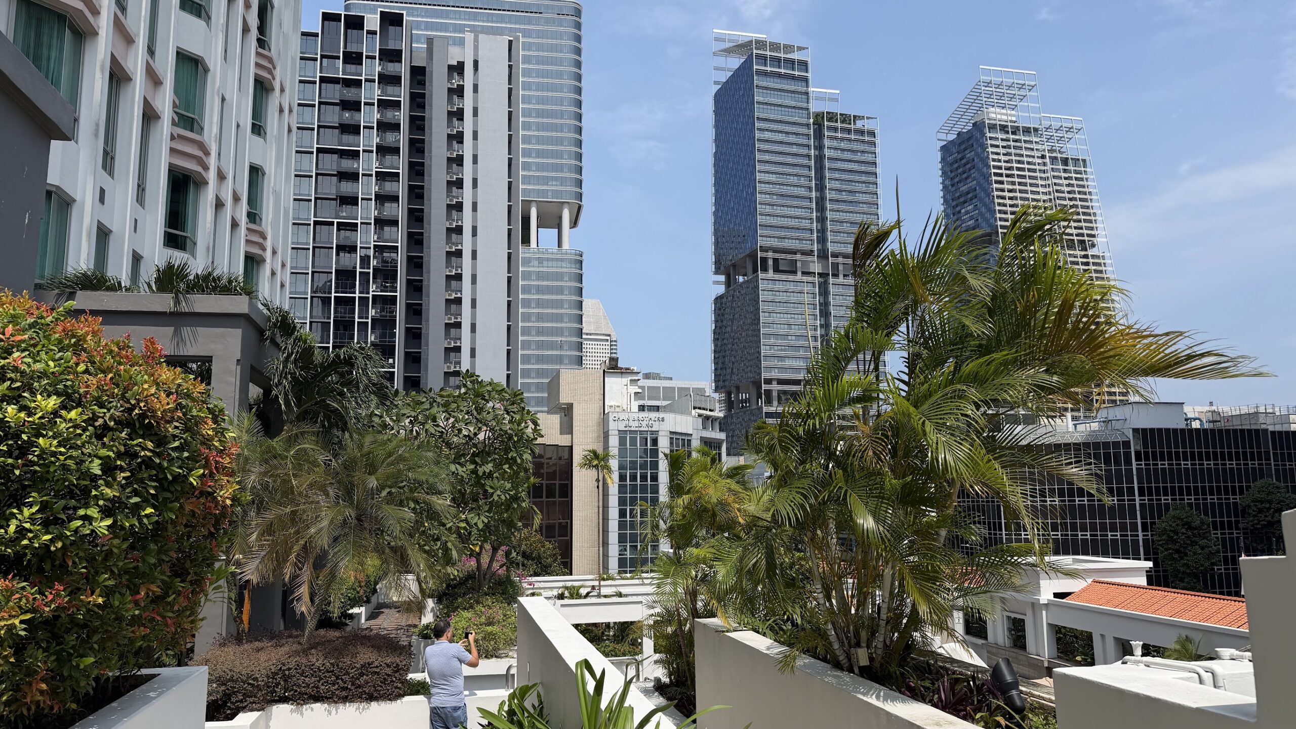 Frasers House terrace garden and city view