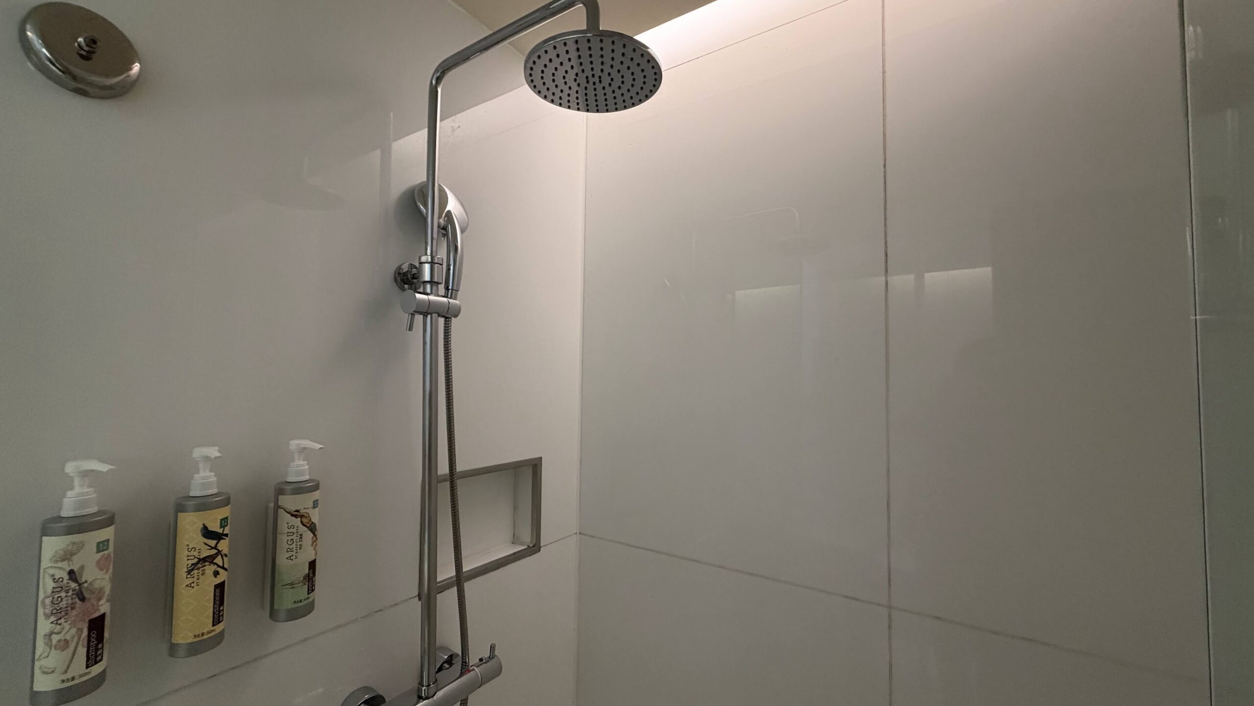 Renaissance Shanghai Yu Garden Hotel Bund River View Studio rainfall shower and handheld shower