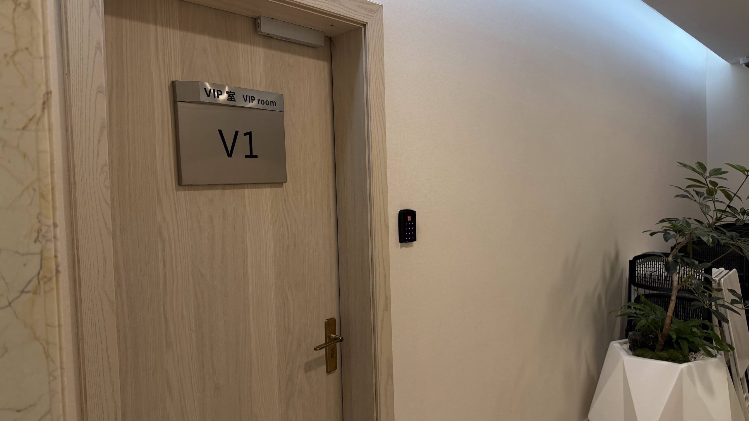 Shenzhen Airlines King Lounge private VIP room entrance