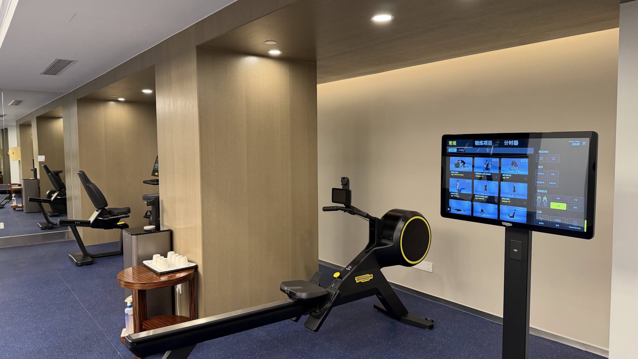 Swissôtel Grand Shanghai Fitness Centre equipment